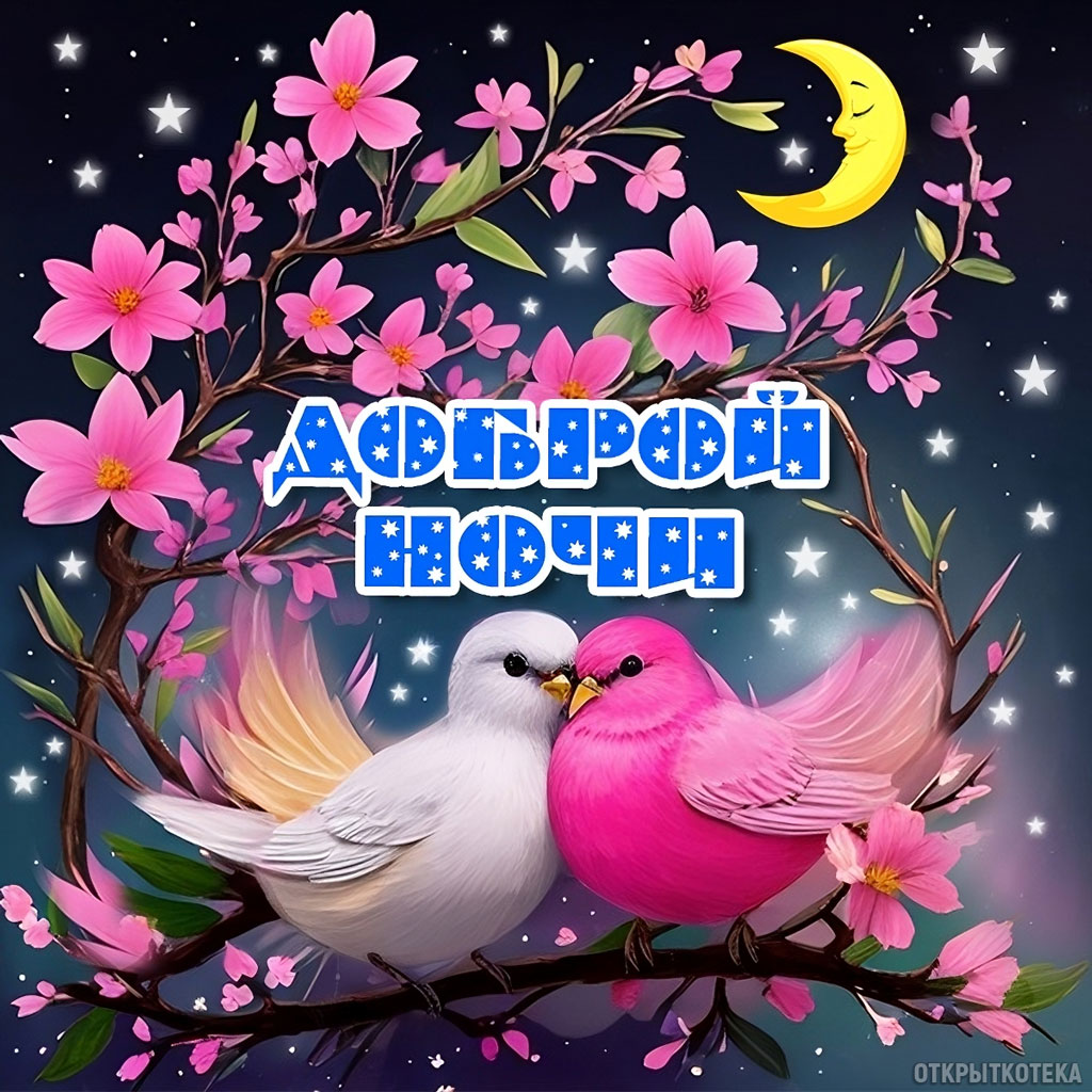 Открытка Доброй ночи, месяц, два голубя на цветущей ветке.