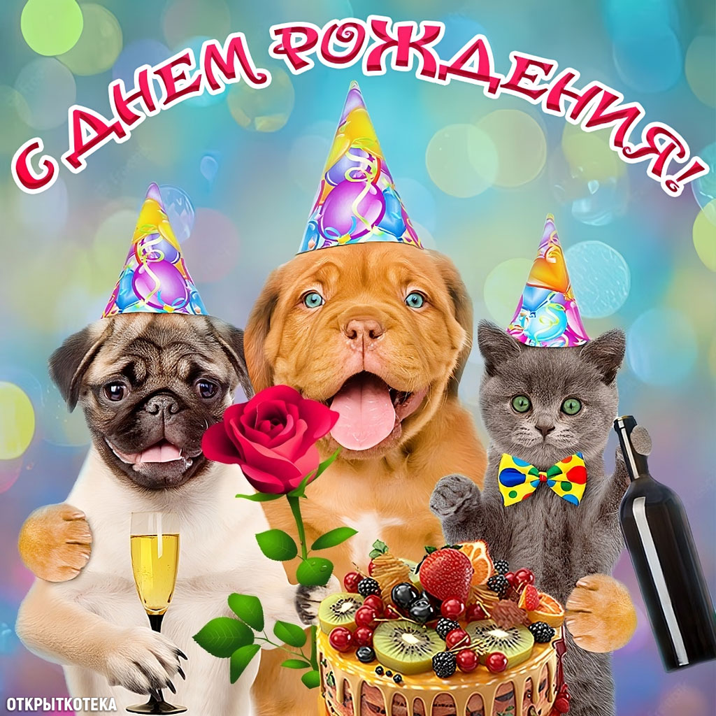 Открытка на день рождения с фруктовым тортом, двумя собачками и котиком с бутылкой вина.