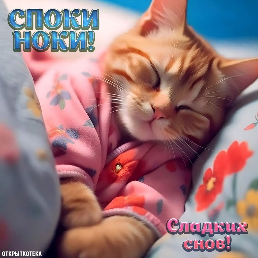 Открытка Споки ноки со спящим котёнком в пижамке.