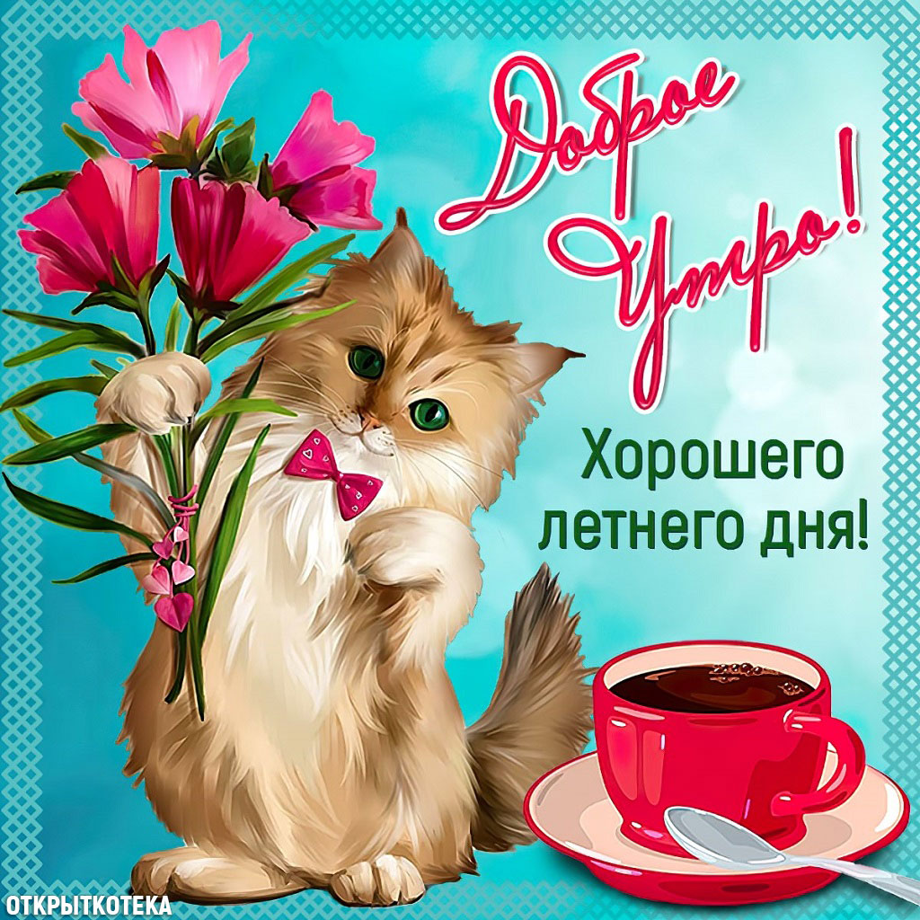 Открытка Доброе утро, котик с букетом и красной чашкой.