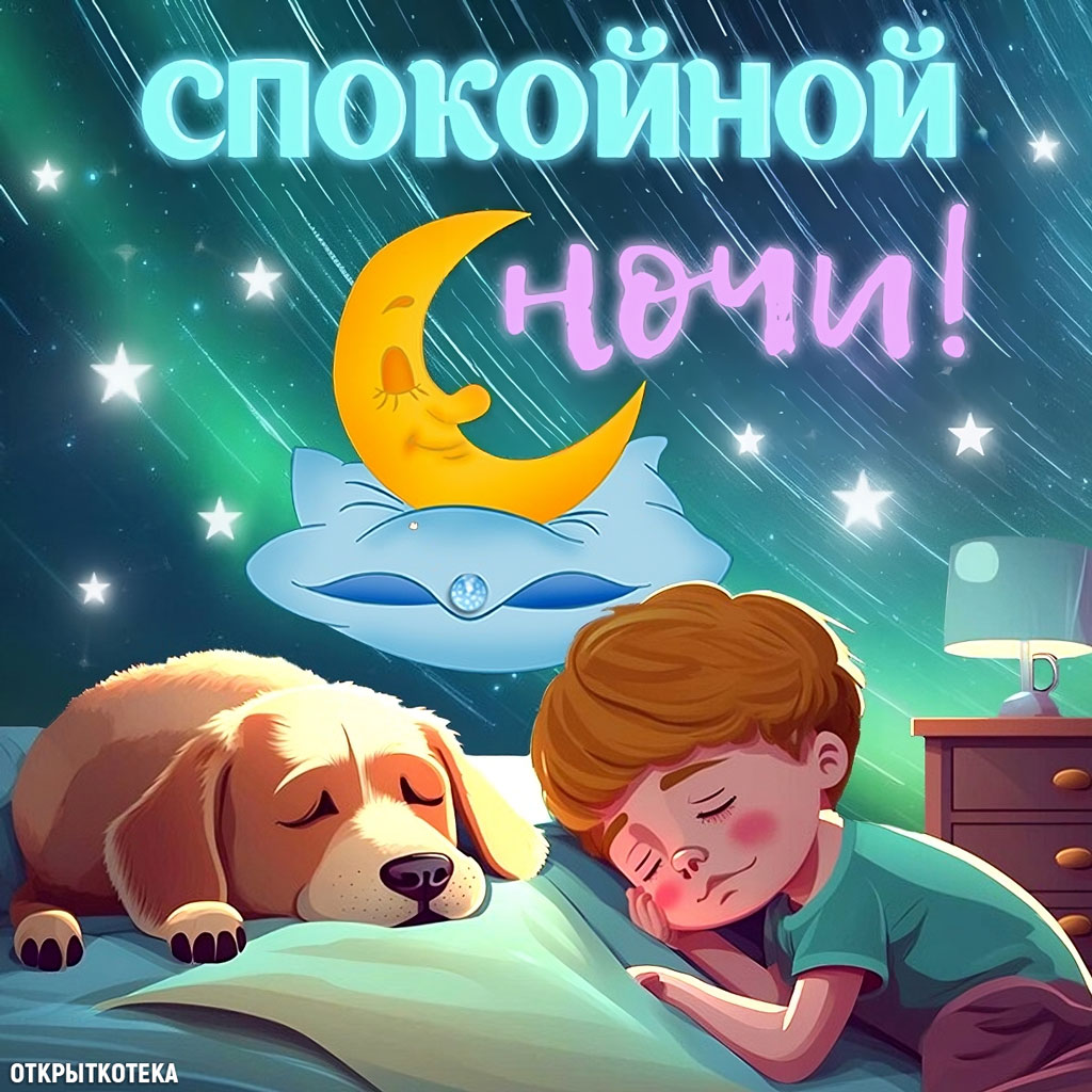 Открытка Спокойной ночи, мальчик, пёсик и месяц спят.